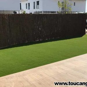 Green grass
